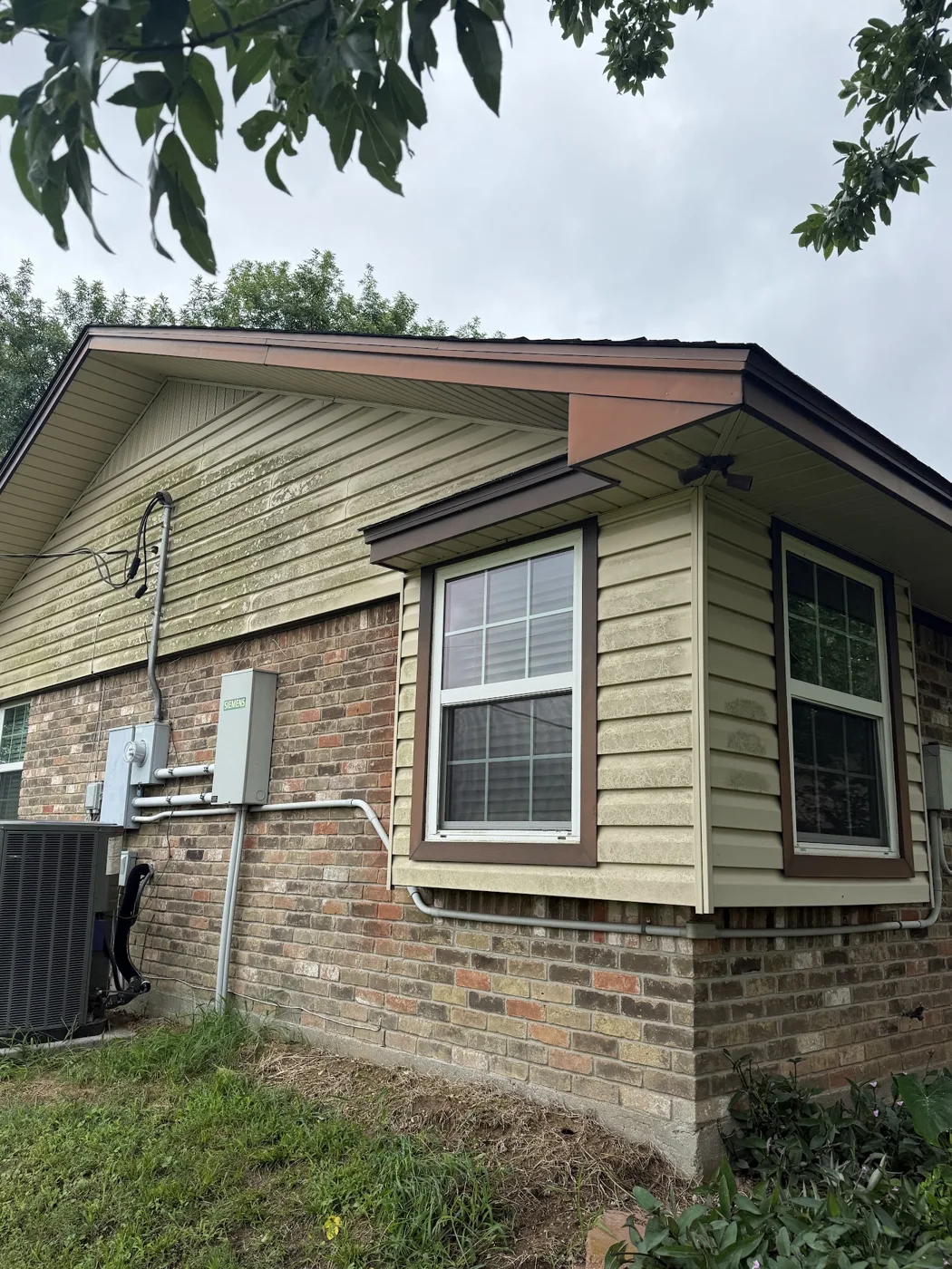 House siding with organic buildup before soft washing
