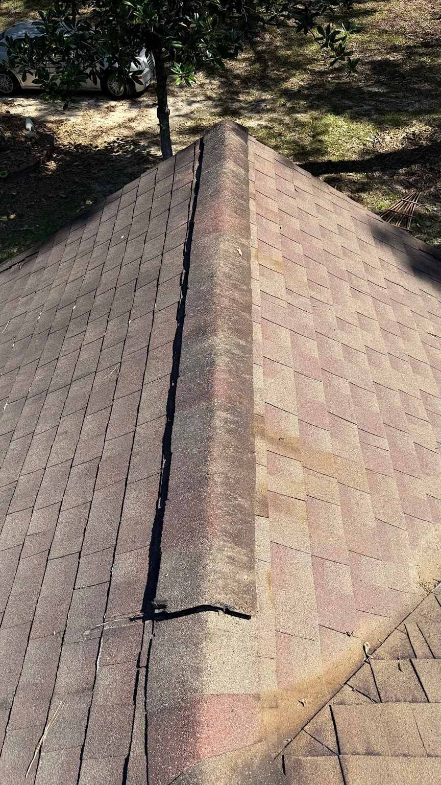 Close-up of roof shingles from a cleaning project
