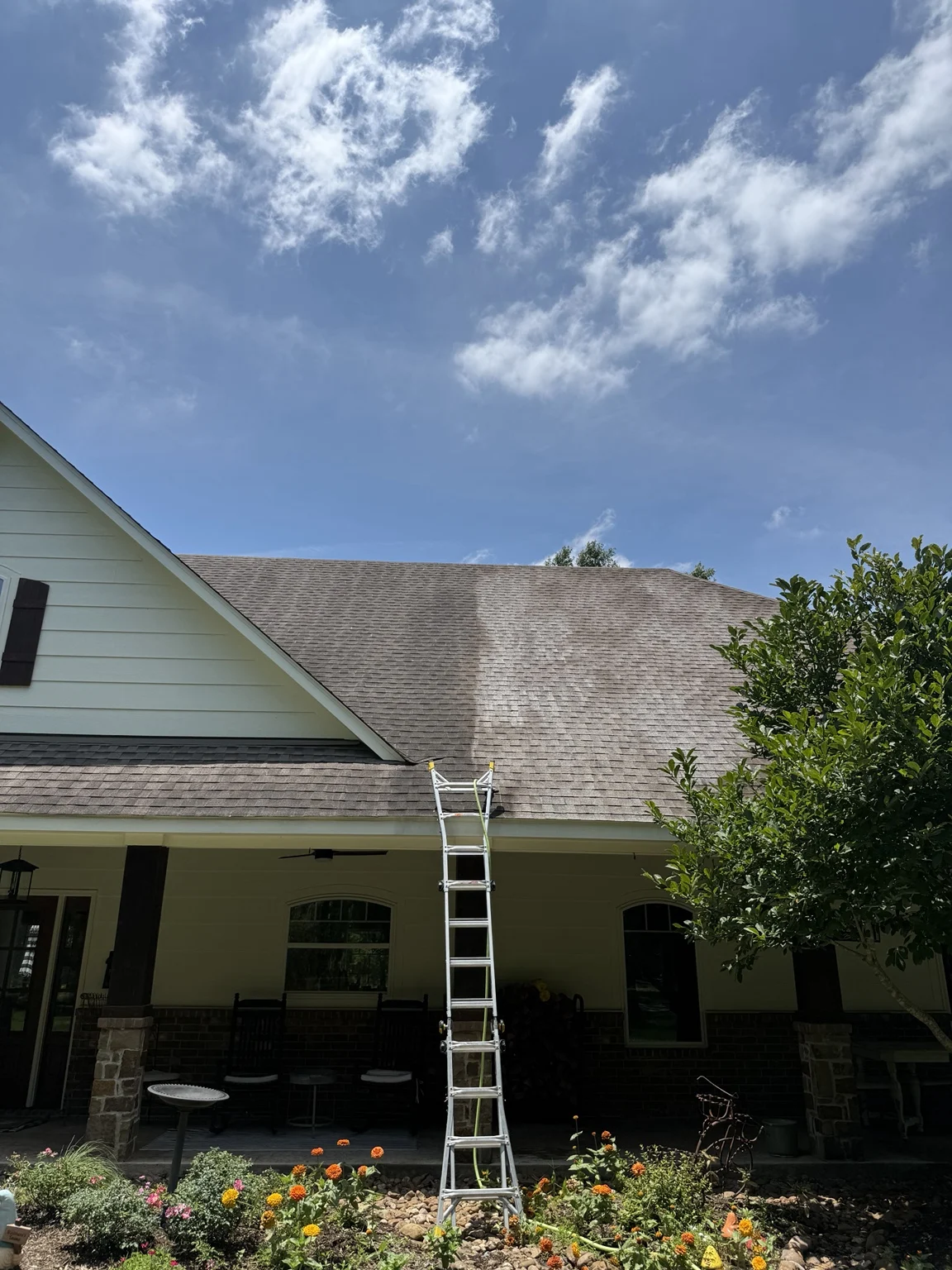 Roof cleaning project with ladder by Set Apart and Washed